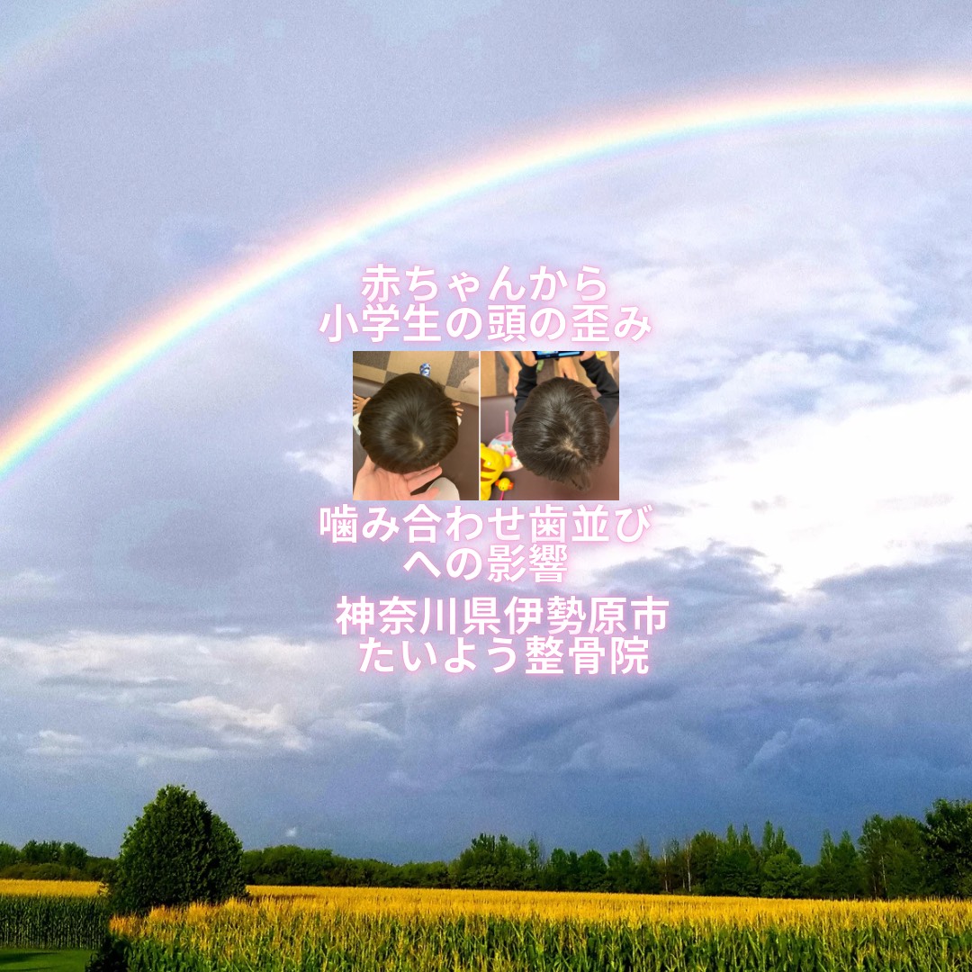 頭の歪みと歯並び・噛み合わせの関係